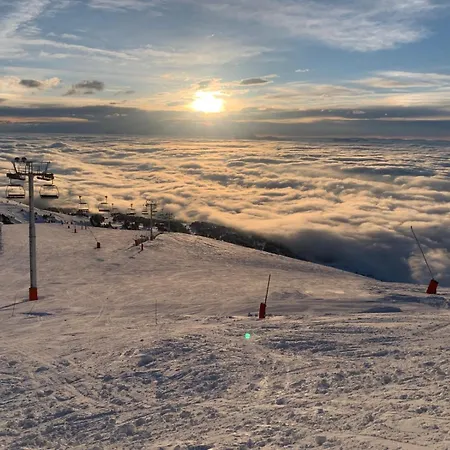 Les Myrtilles * Chamrousse